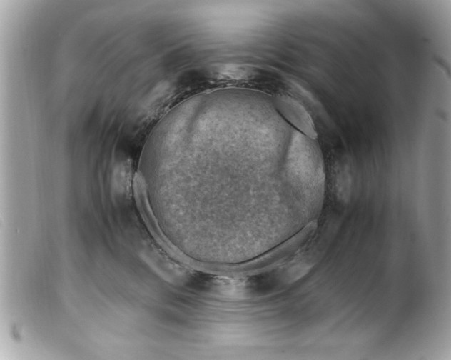 X0000099530328200805301445