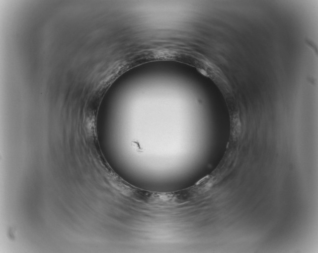 X0000099530329200805301445