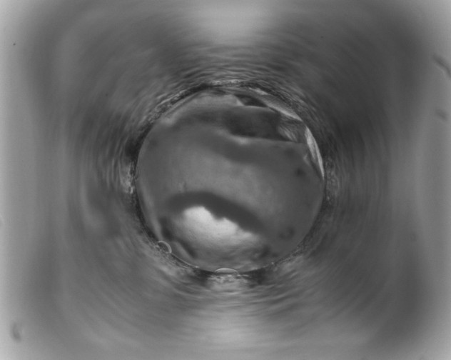 X0000099530331200805301445