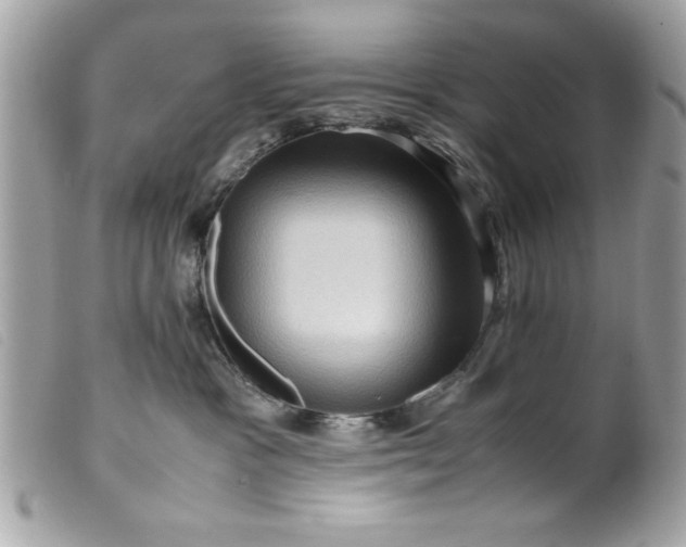 X0000099530333200805301445