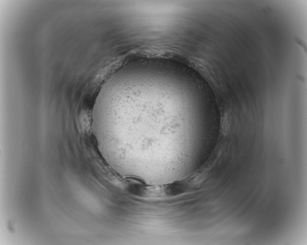 X0000099530335200805301445