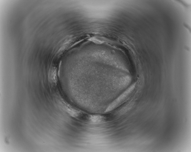 X0000099530336200805301445