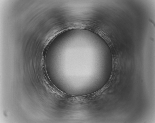 X0000099530338200805301444