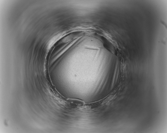 X0000099530340200805301444