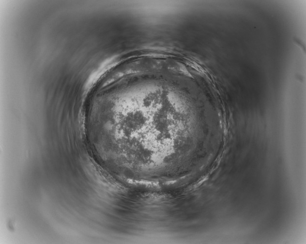 X0000099530343200805301444