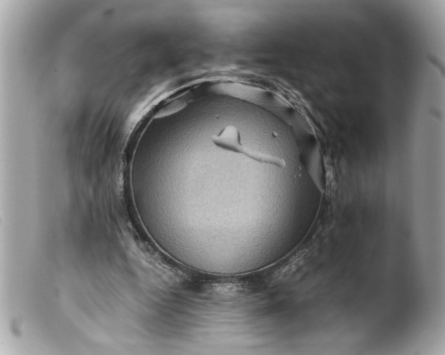 X0000099530344200805301444