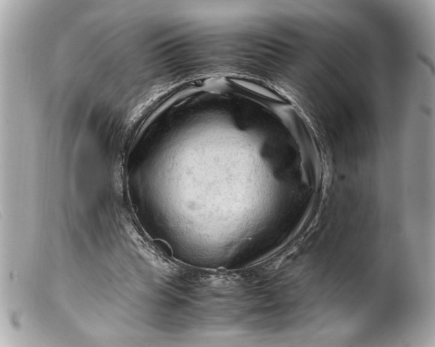 X0000099530345200805301444