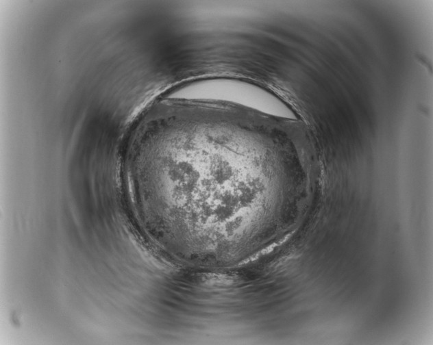 X0000099530347200805301444