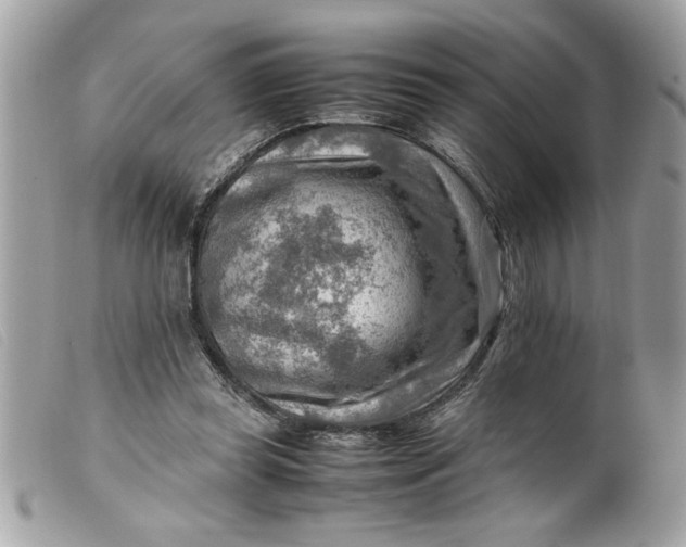 X0000099530349200805301444