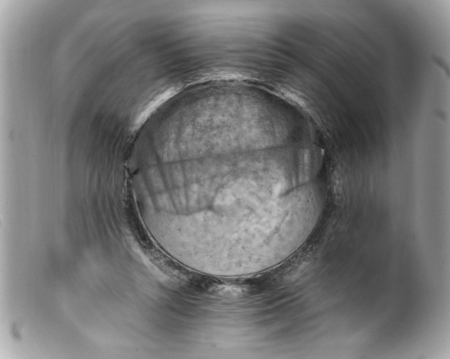 X0000099530352200805301445