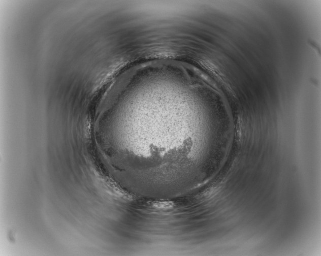 X0000099530355200805301445