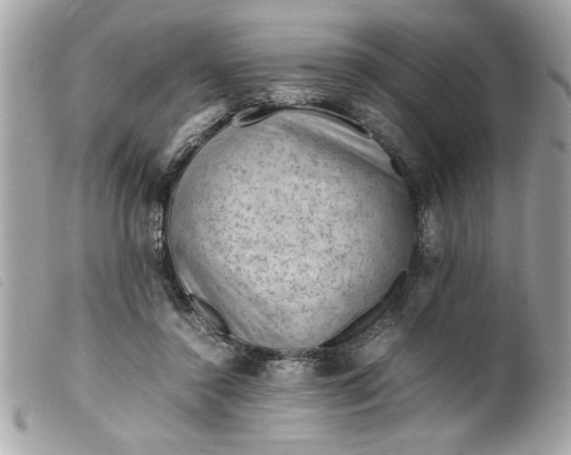 X0000099530356200805301445