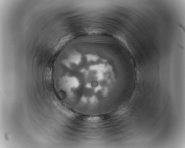 X0000099530357200805301445