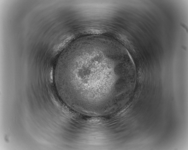 X0000099530358200805301445