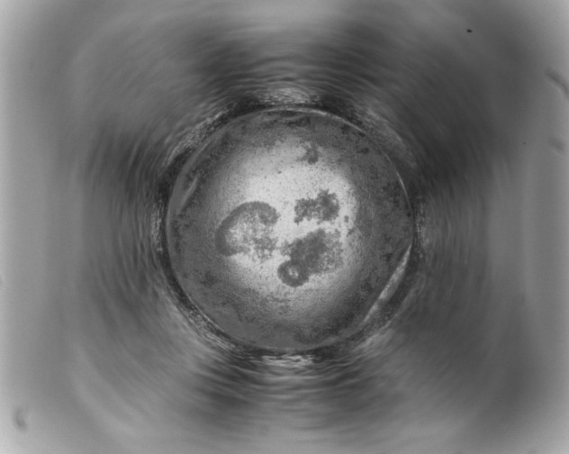 X0000099530359200805301445