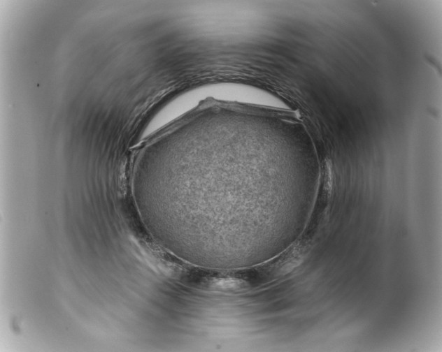 X0000099530360200805301445