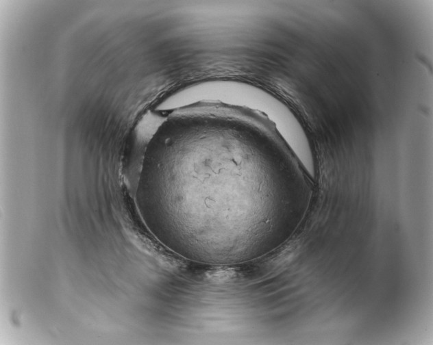 X0000099530362200805301445