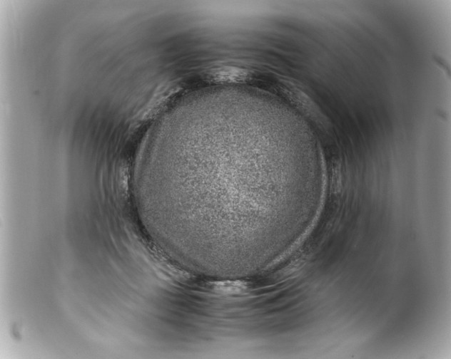 X0000099530363200805301445