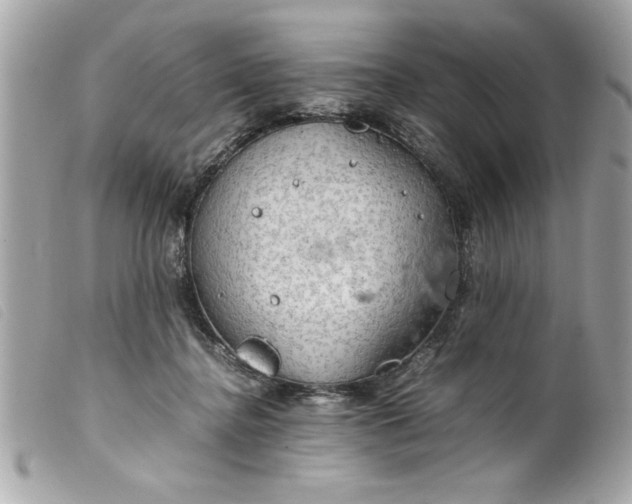 X0000099530364200805301445