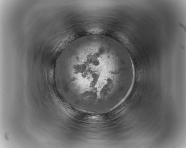 X0000099530365200805301445