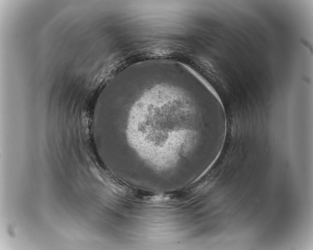 X0000099530366200805301445