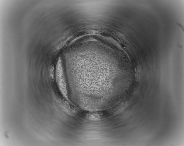 X0000099530368200805301445