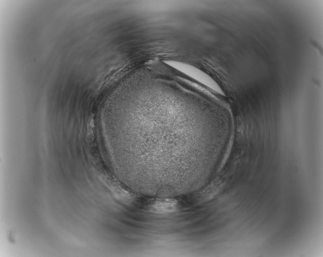 X0000099530369200805301445