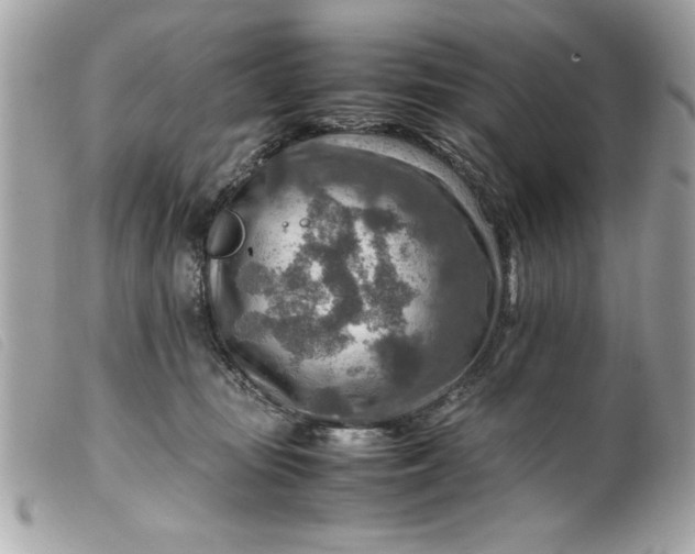 X0000099530371200805301445