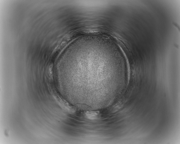 X0000099530373200805301445