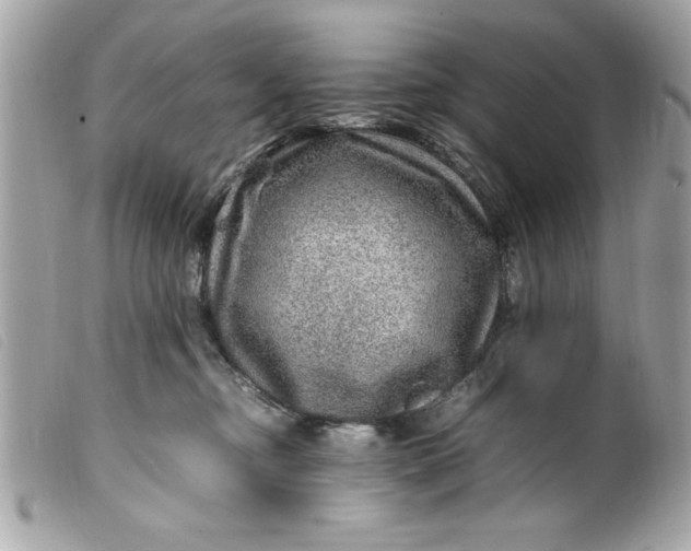 X0000099530374200805301445