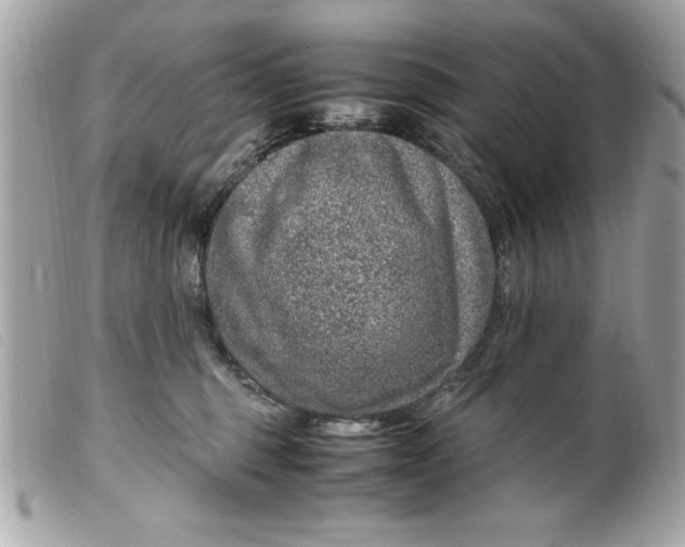 X0000099530375200805301445