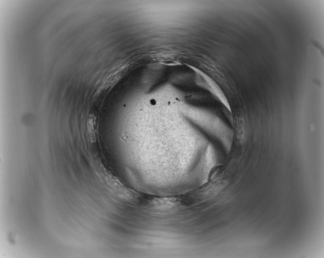 X0000099530378200805301445