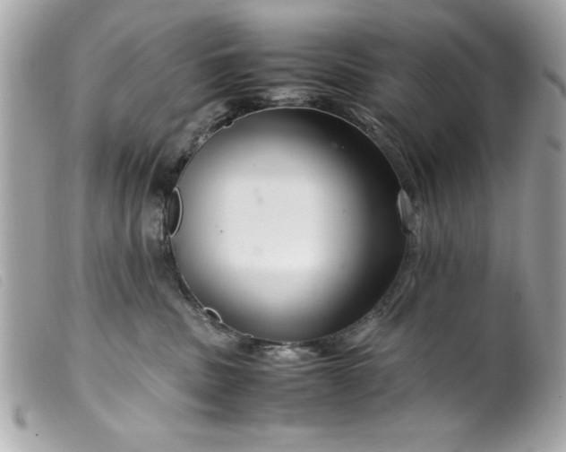 X0000099530379200805301445