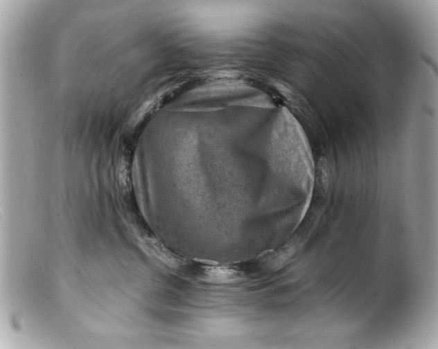 X0000099530380200805301445