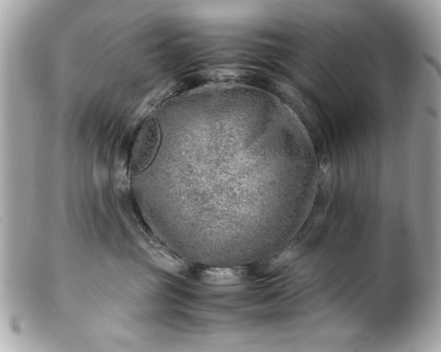 X0000099530381200805301445