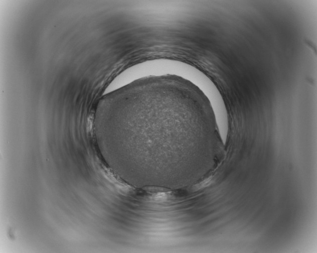 X0000099530382200805301445