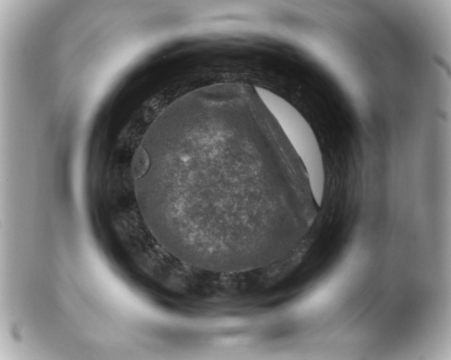 X0000099530383200805301445