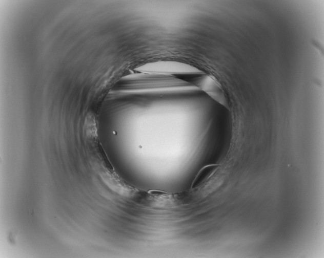 X0000099530384200805301445