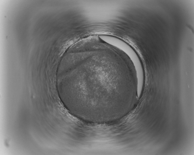 X0000099530385200805301444