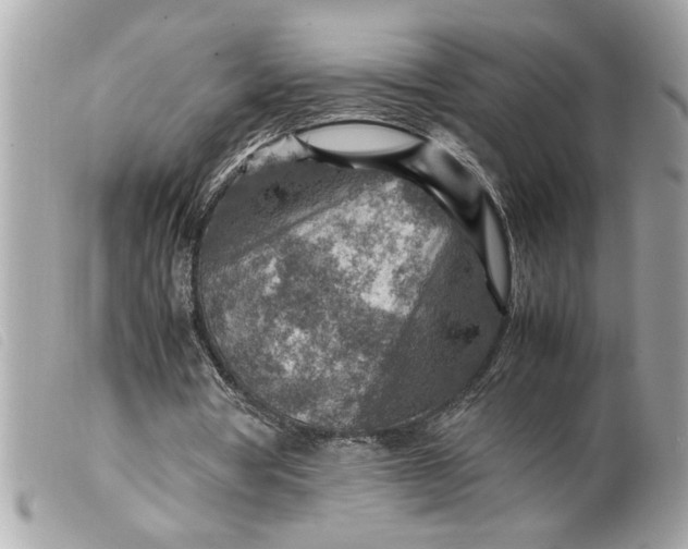 X0000099530386200805301444