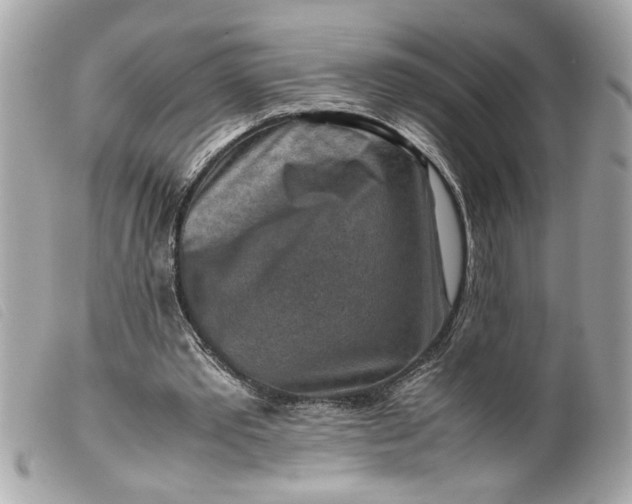 X0000099530389200805301444