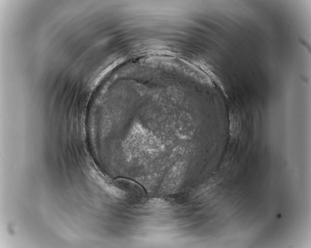 X0000099530390200805301444