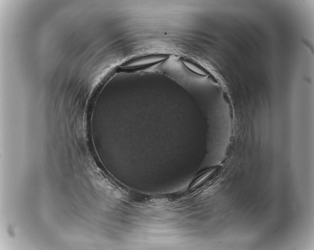 X0000099530391200805301444