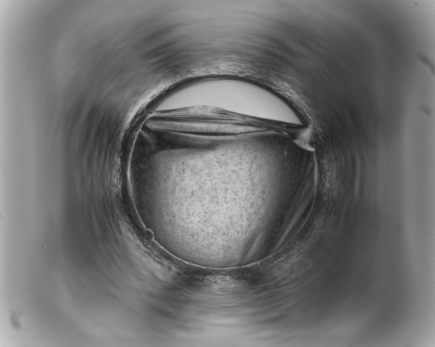 X0000099530392200805301444