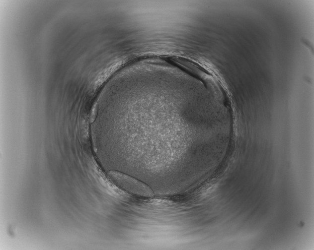 X0000099530393200805301444