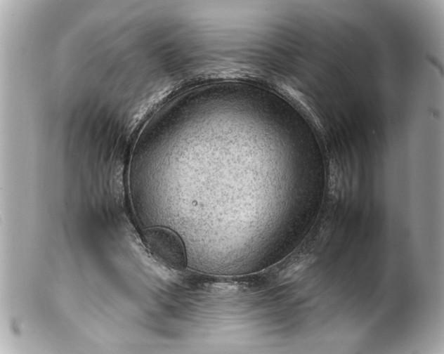 X0000099530394200805301444