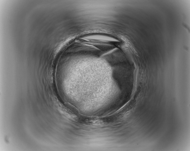 X0000099530395200805301444