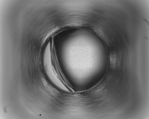 X0000099530396200805301444