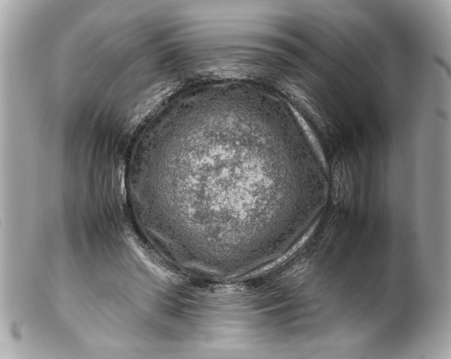 X0000099530398200805301444