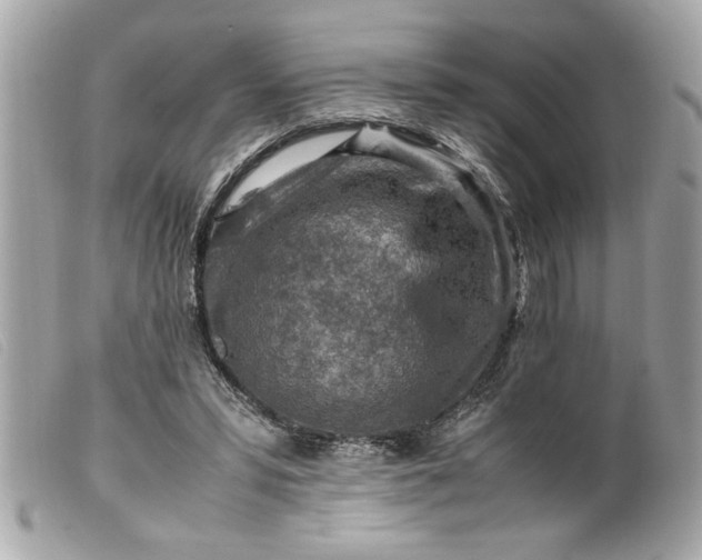 X0000099530399200805301444